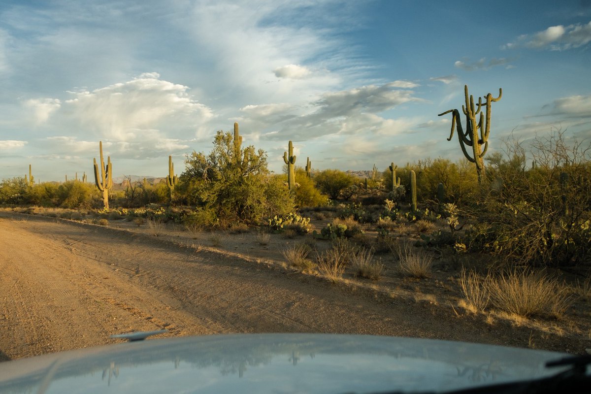 HighwayyChild's tweet photo. Sonoran Desert Highway https://t.co/5nSWPVZ8LM