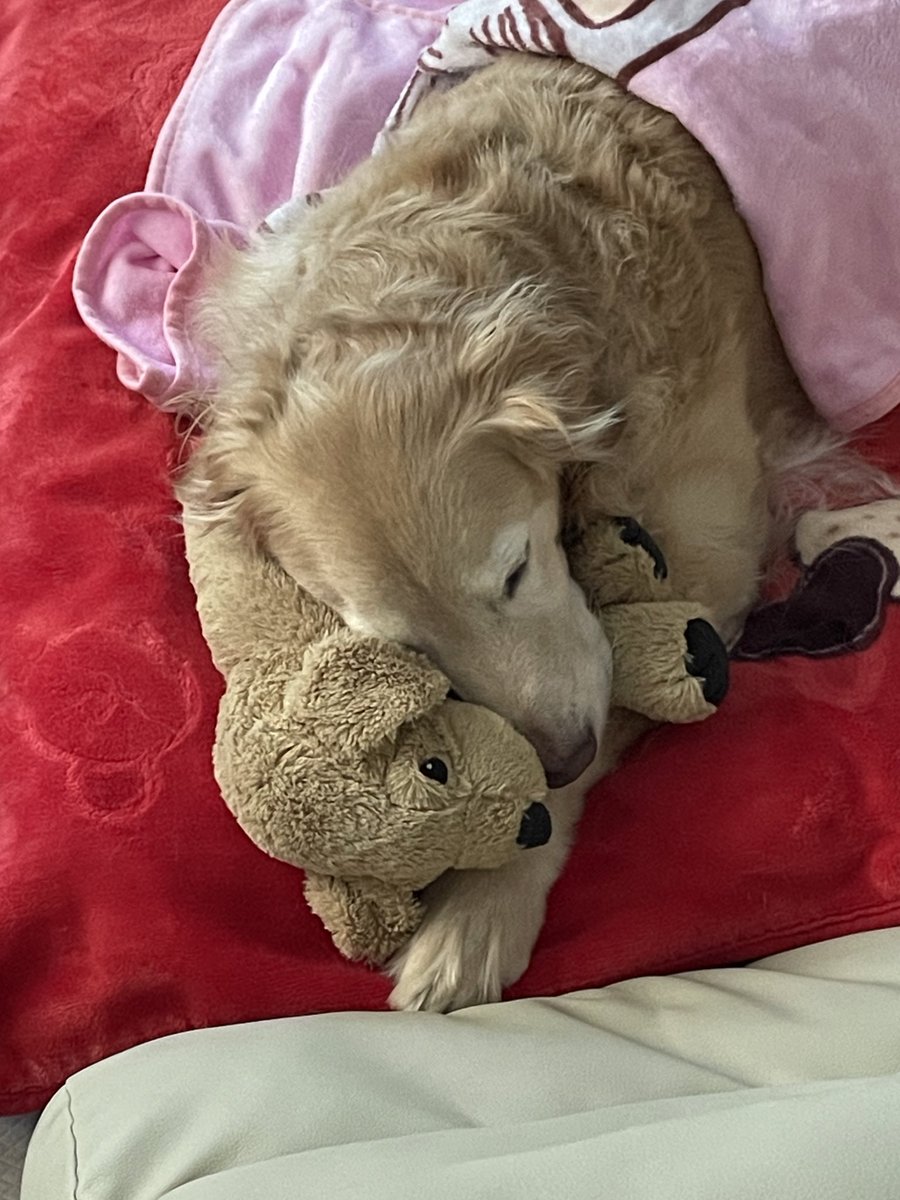 ruby_sm_'s tweet image. 😴