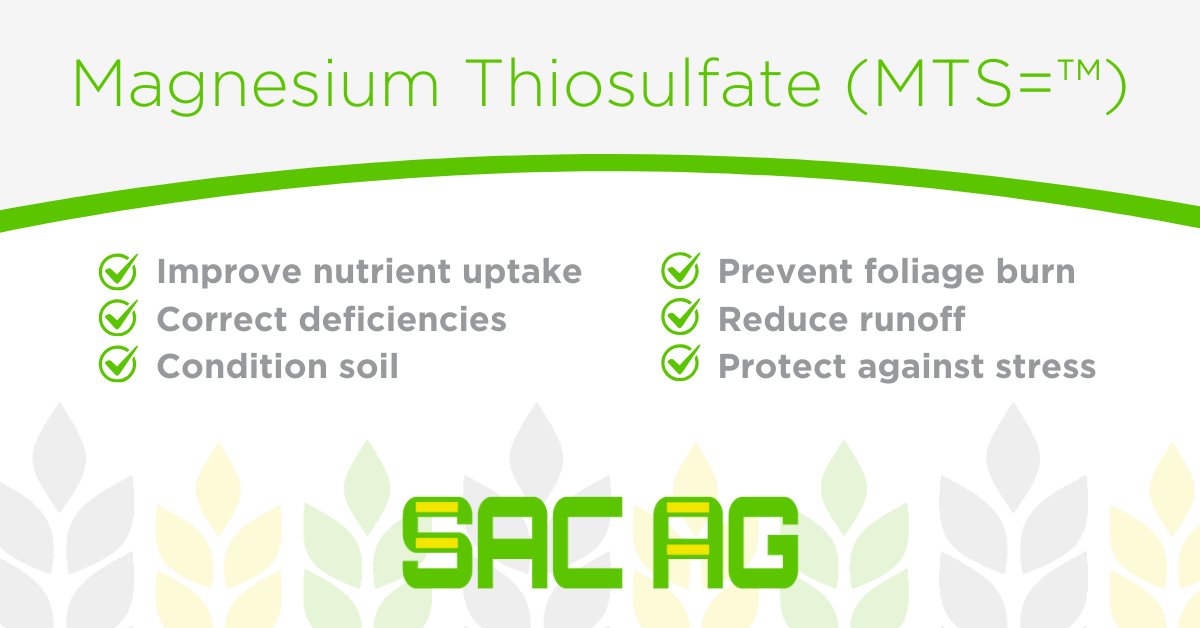 🌱 Help your customers boost yields this season with Magnesium Thiosulfate (MTS=™). An essential part of a grower's toolkit, this versatile fertilizer is ideal for tree nuts, fruits, vegetables &amp; field crops. Book your tons: ow.ly/gYlT50VsoZj #CropNutrition #CaliforniaAg