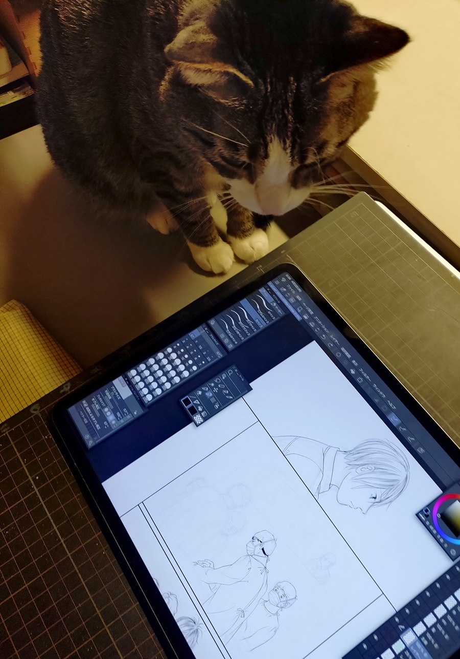 Amazon.co.jp: たらさわ みち: 本、バイオグラフィー、最新