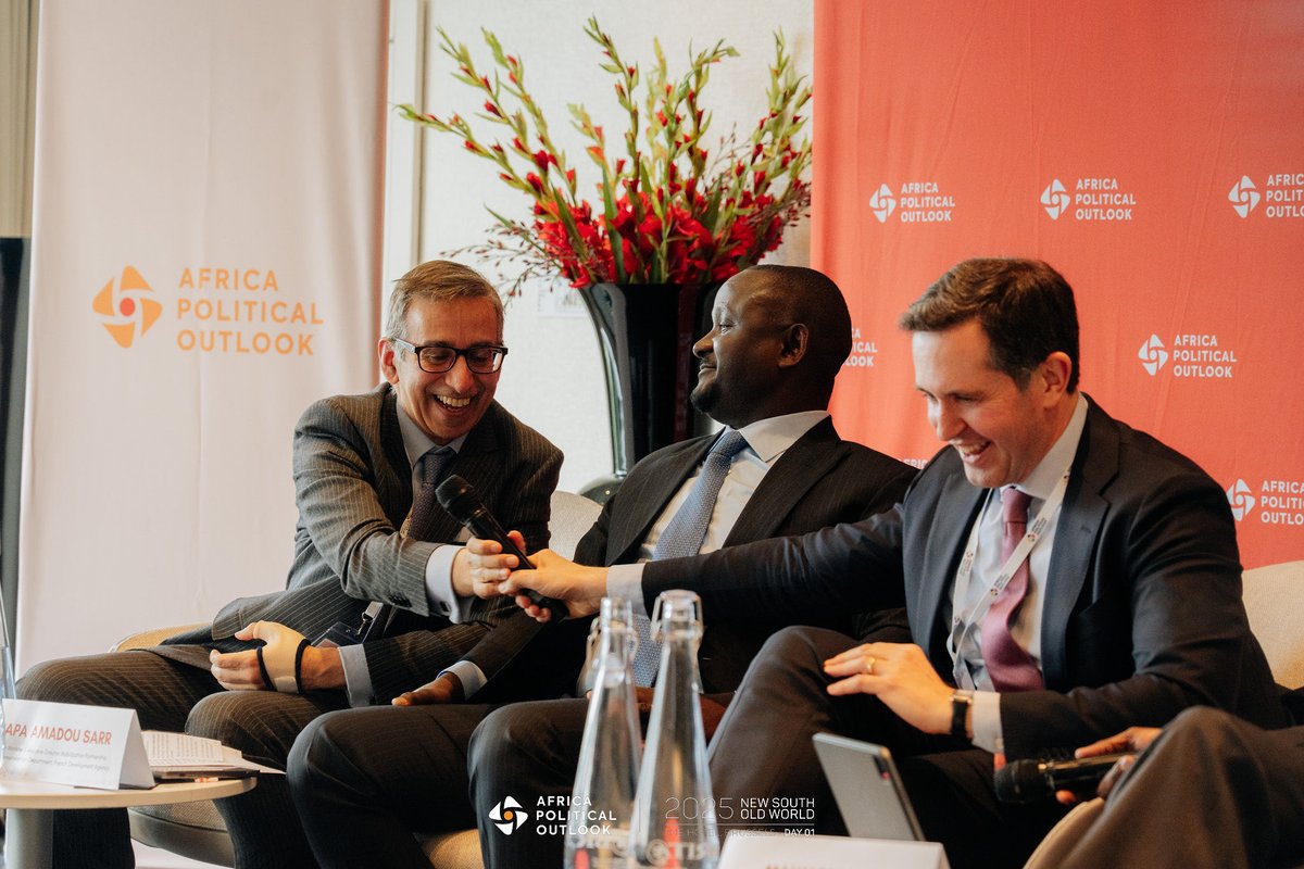 Africa Political Outlook tweet media