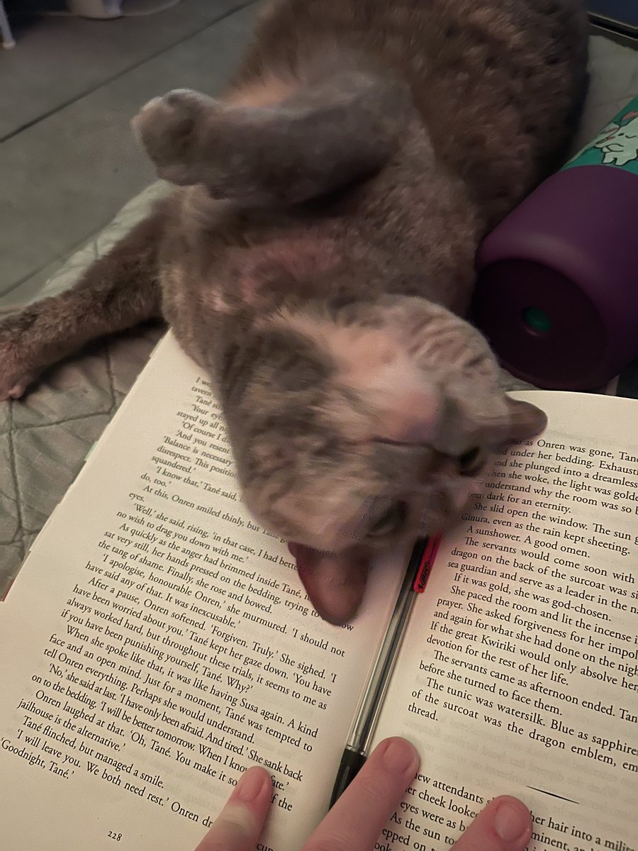 pay attemtiom to meeeeeeeee