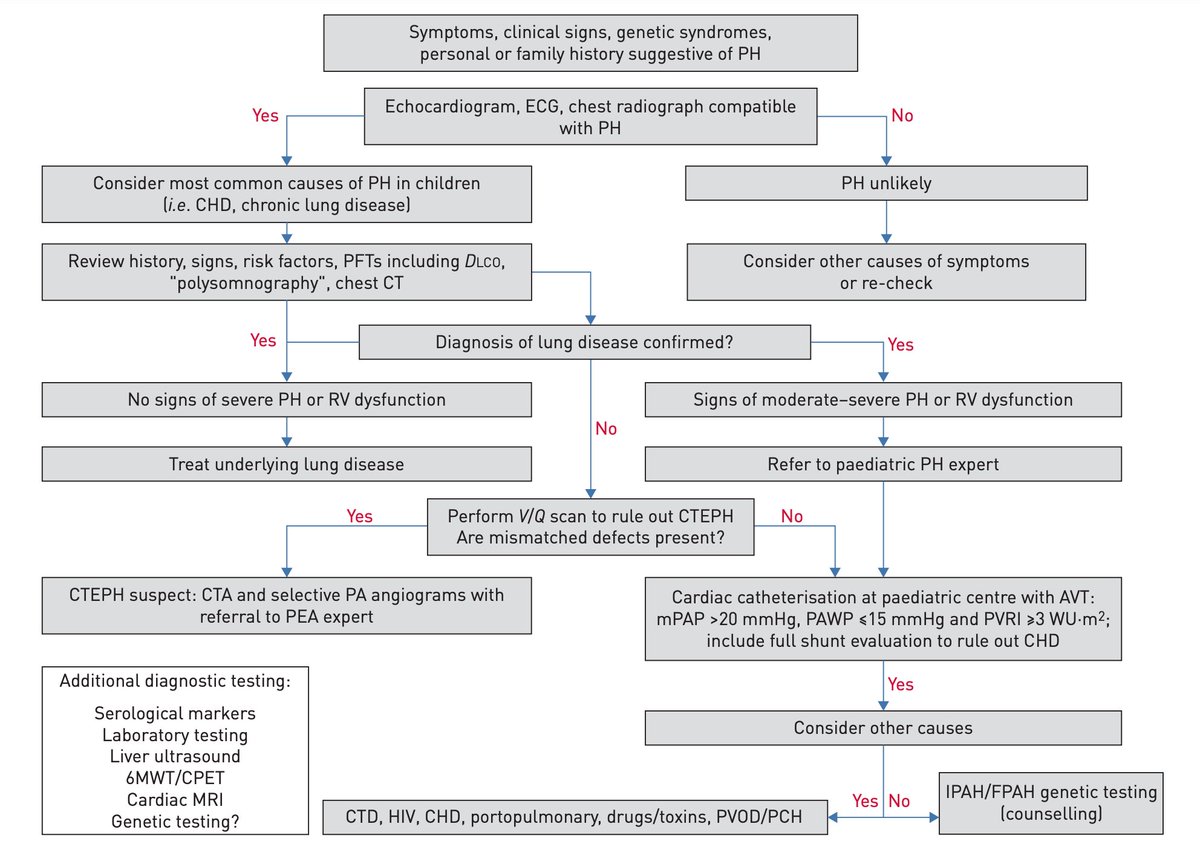 LaLoTomas3's tweet image. Hipertensión Pulmonar en Pediatría 🫁👶🏼 #HP 

Clasificación 🫀
Diagnóstico 🩻
Tratamiento 💊

#CardioHack #CardioPedia #CardioX