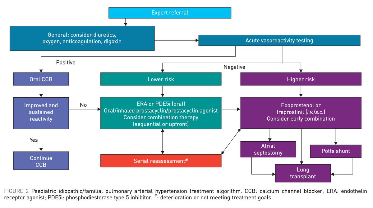 LaLoTomas3's tweet image. Hipertensión Pulmonar en Pediatría 🫁👶🏼 #HP 

Clasificación 🫀
Diagnóstico 🩻
Tratamiento 💊

#CardioHack #CardioPedia #CardioX