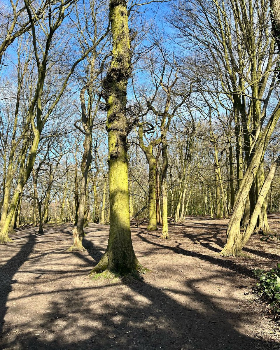 ColHighgateWood's tweet image. Let&apos;s keep our Wood clean for all—wildlife included! 🦊🦆

✅ Use bins or take litter home
✅ Recycle ♻️
✅ Clean up after picnics 🍉
✅ Leave no trace—only footprints! 👣

Litter harms wildlife. Let&apos;s keep the Wood clean! #GreatBritishSpringClean #KeepBritainTidy