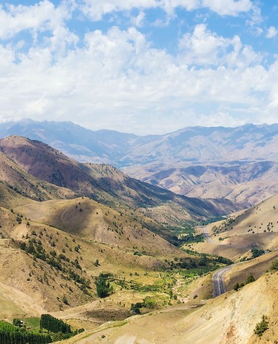 Bradt Guides tweet media