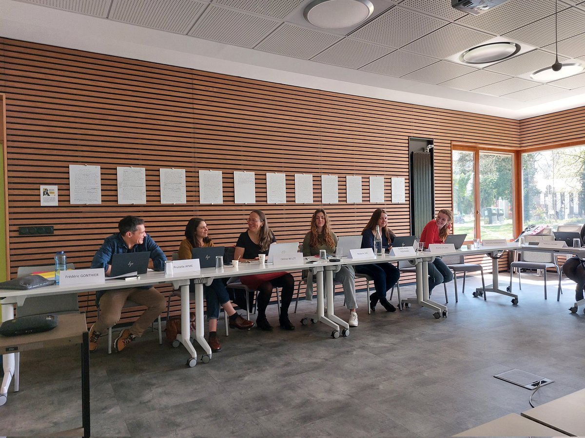 TRUEDEM_EU's tweet photo. TRUEDEM workshop on qualitative data analysis https://t.co/jynl5ruJBD