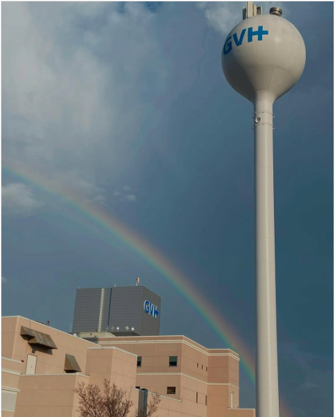 GVHHealth tweet media