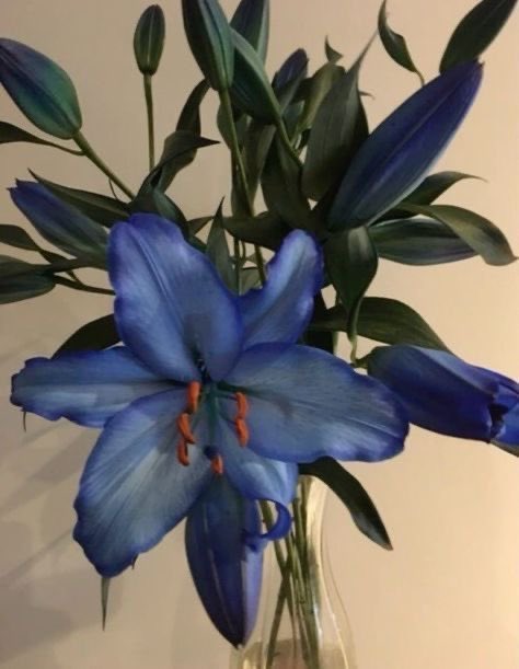 eilo (@noplacebuthere) on Twitter photo 