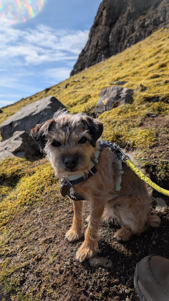 Thinking of our dear pal <a href="/BtCulter/">Lord Culter BT 🏴󠁧󠁢󠁳󠁣󠁴󠁿</a> and his lovely folks today🩵