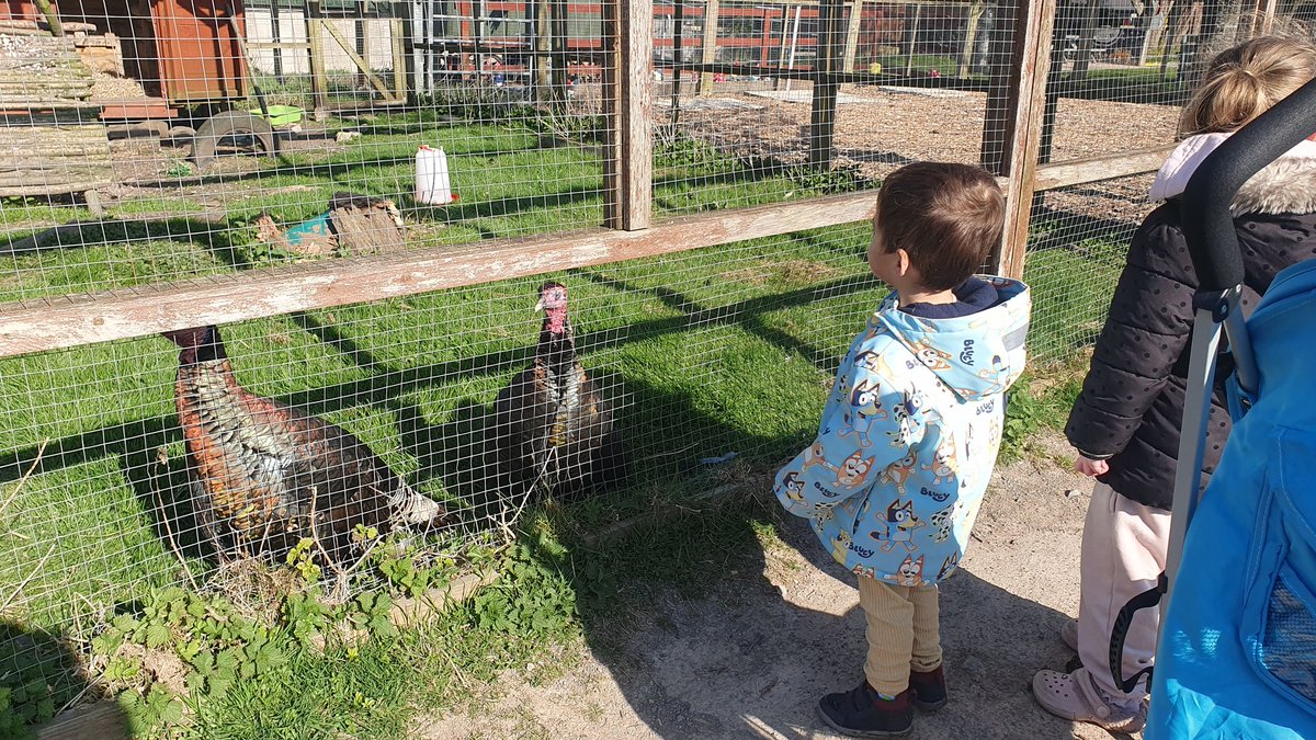 What a wonderful day at the farm #newlife #memorymaking #firsthandexperiences #outdoors <a href="/EarlyWales/">Early Years Wales</a> <a href="/mmewcav/">Move More Eat Well | Symud Mwy Bwyta'n Iach</a> @PACEYCymru <a href="/PlayWales/">Play Wales</a> @VALEFIS <a href="/SocialCareWales/">Social Care Wales</a>