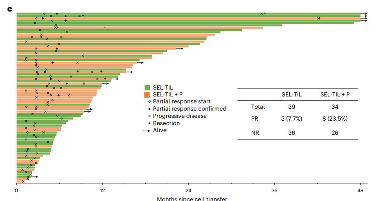 Today <a href="/NatureMedicine/">Nature Medicine</a>! 🗞️ 

TILs Tumor Infiltrating Lymphocytes🔴🟠🟢 ➖a cell-based therapy for patients with colorectal &amp; GI cancers➡️#immunotherapy.

Responses➕“survivors” ➡️black arrows. 4️⃣&gt;48-month survival ≈ CURES.

Pembro⬆️responses. <a href="/OncoAlert/">OncoAlert</a> 

nature.com/articles/s4159…