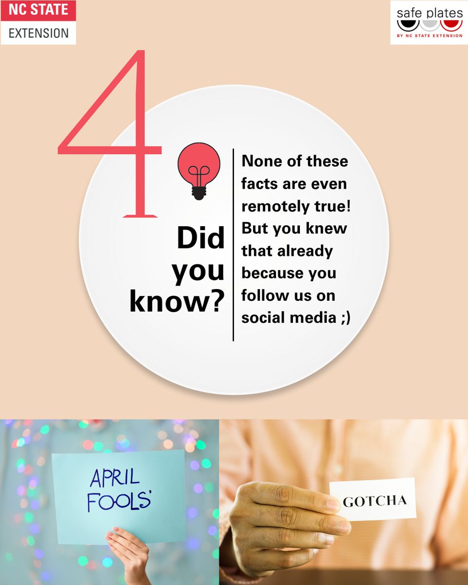 Safe Plates Food Safety Information Center tweet media