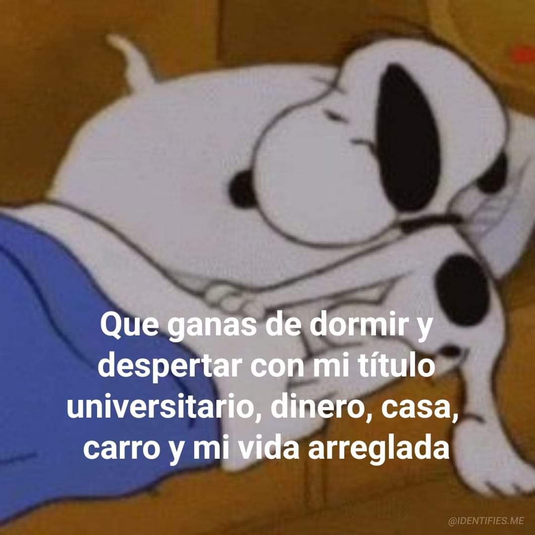 El Diaz (@soydanilodiaz) on Twitter photo 