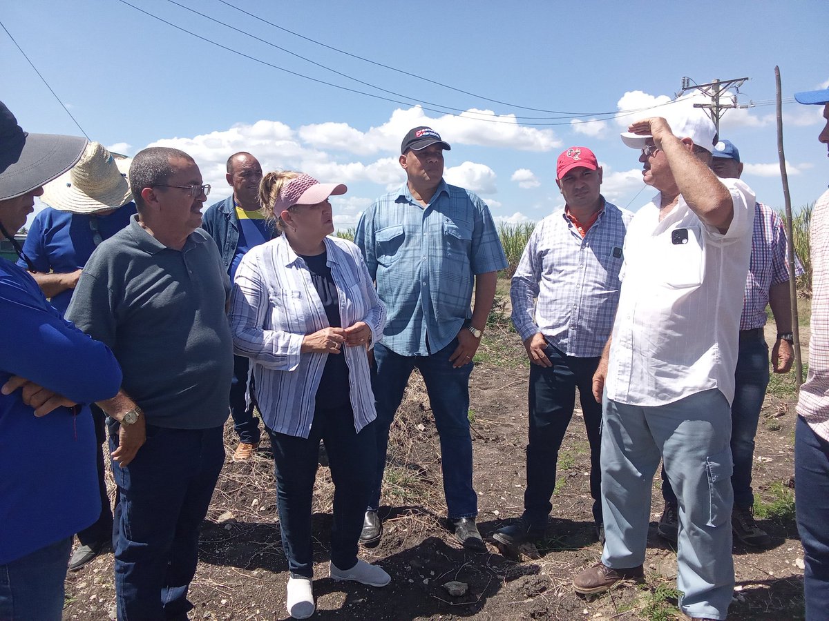 Junto a <a href="/DeivyPrezMartn1/">Deivy Pérez Martín</a>  recorrimos áreas del nuevo parque solar fotovoltaico que se construirá en #Jatibonico y que aportará 21.8 megawatts al Sistema Electroenergético Nacional previsto a inaugurar en noviembre.
#SanctiSpíritusEnMarcha
<a href="/DiazCanelB/">Miguel Díaz-Canel Bermúdez</a> <a href="/DrRobertoMOjeda/">Dr. Roberto Morales Ojeda</a> <a href="/PartidoPCC/">Partido Comunista de Cuba</a>