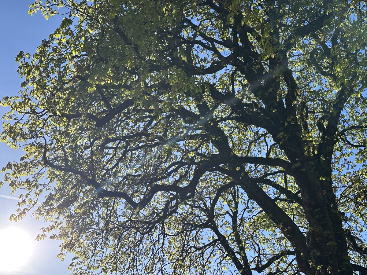 bettanyhughes's tweet photo. Speaking here tonight on the #SevenWonders at 6pm #history #myth #archaeology #Sheldonian #Oxford - feel guilty about tempting people indoors as it’s such a beautiful #spring evening! X https://t.co/MKEnAqL5au