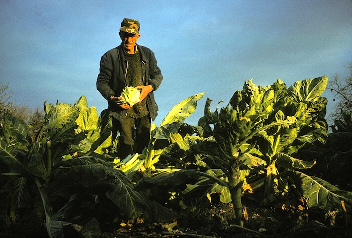 La historia oral de las huertas de Úbeda está reflejada en los libros de Antonio Muñoz Molina. El escritor, hijo y nieto de hortelanos, narra un oficio y una forma de vida en extinción. Así como un lugar de incalculable valor cultural y paisajístico. ➡️acortar.link/ji6BRi