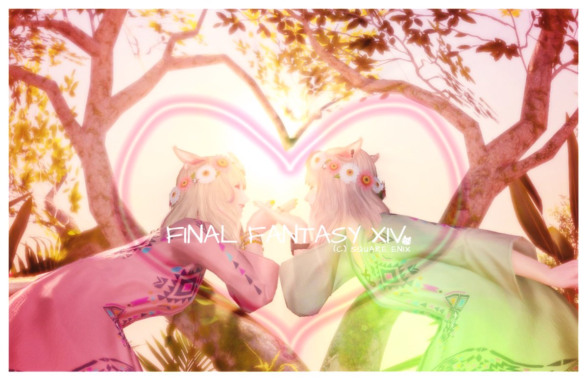 dqx_pochi's tweet photo. ｡.ꕤ………………………………………..ꕤ.｡
おぁよฅ/ᐠ｡ ̮｡ᐟ\ฅ 

りりちゃん @LilyFoul と🫶´-
めっちゃ素敵な場所でしたー😍✨

ミコ姉妹(     ◍´꒳​`)⸜⸝(´꒳​`◍    )なかよち❤︎
｡.ꕤ………………………………………..ꕤ.｡
#FF14 ┆ #おはミコ ┆ #ミコッテ https://t.co/BV0PsHIrNX