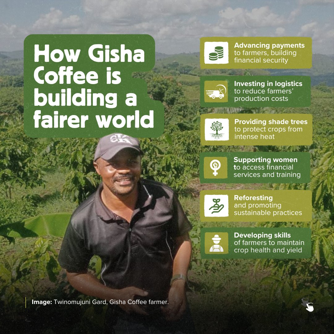Shared Interest (@sharedinterest) on Twitter photo In our spring member magazine, learn more about Gisha Coffee, the Ugandan coffee co-operative whose rapid yet sustainable growth is transforming Uganda’s coffee industry and empowering farmers by  connecting their high-quality coffee to global markets.
 
Read QR 135: In our spring member magazine, learn more about Gisha Coffee, the Ugandan coffee co-operative whose rapid yet sustainable growth is transforming Uganda’s coffee industry and empowering farmers by  connecting their high-quality coffee to global markets.
 
Read QR 135:
