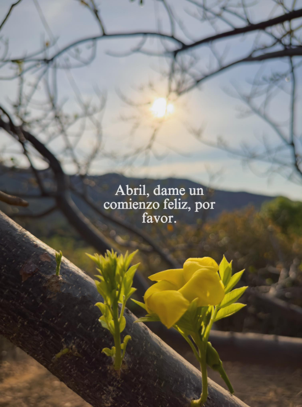 BANDIDOS tweet media