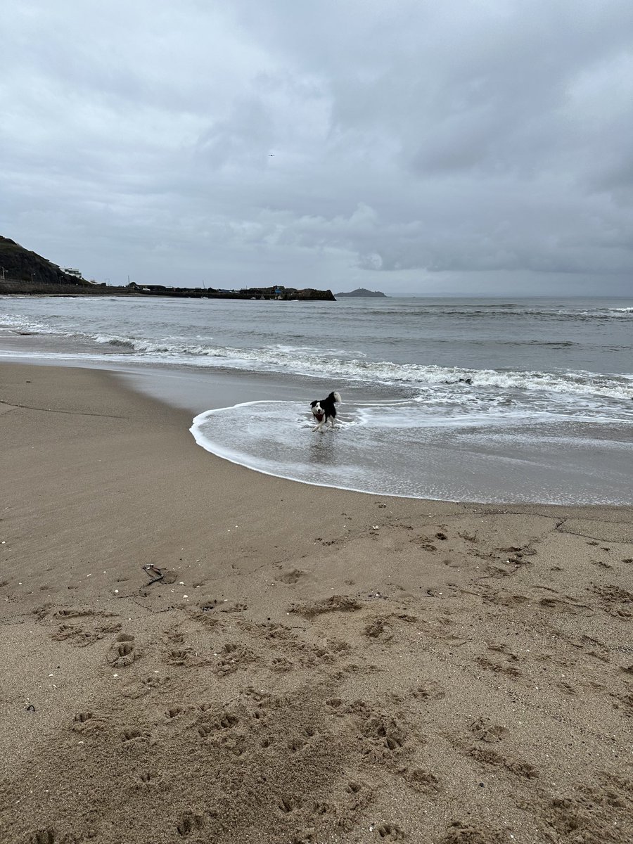 KinlochSusan's tweet image. Pettycur Bay #memories #beach #shells