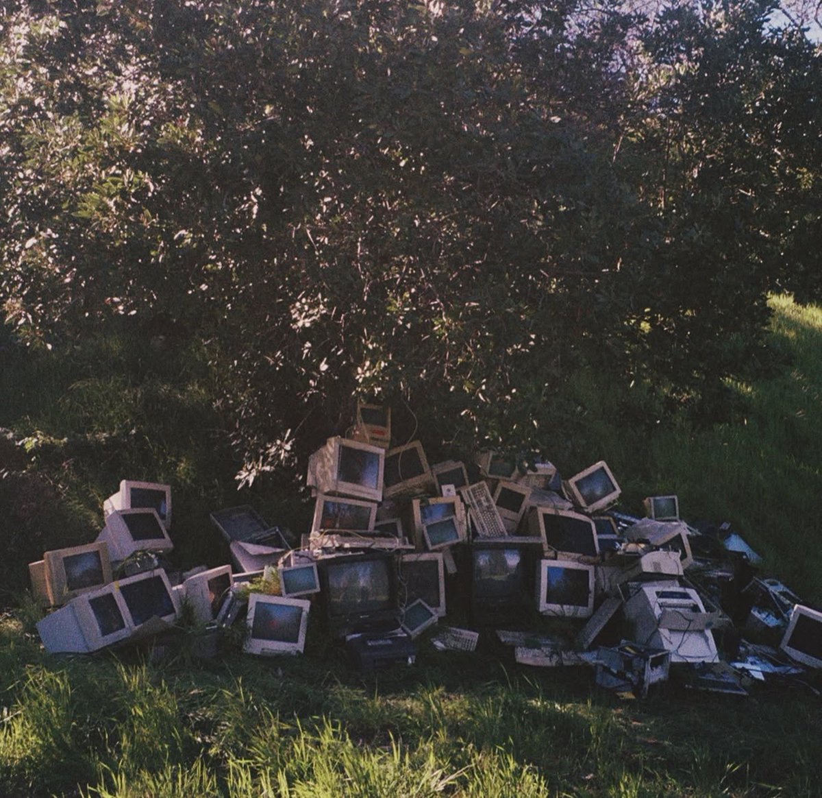 forgivekris's tweet image. Get me to God’s country