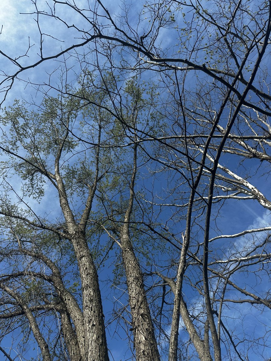 Madeline Piscetta tweet media