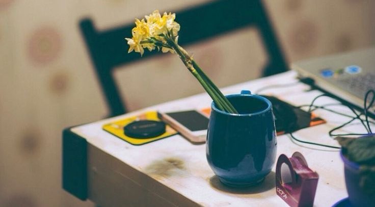 Seven de sevilen de fedakarlık yapmalı ki sevgi sevda olsun…

|| Bâzgeşt