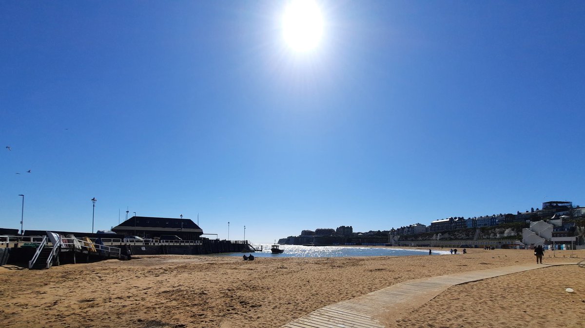 Running Bear 🇺🇦 tweet media