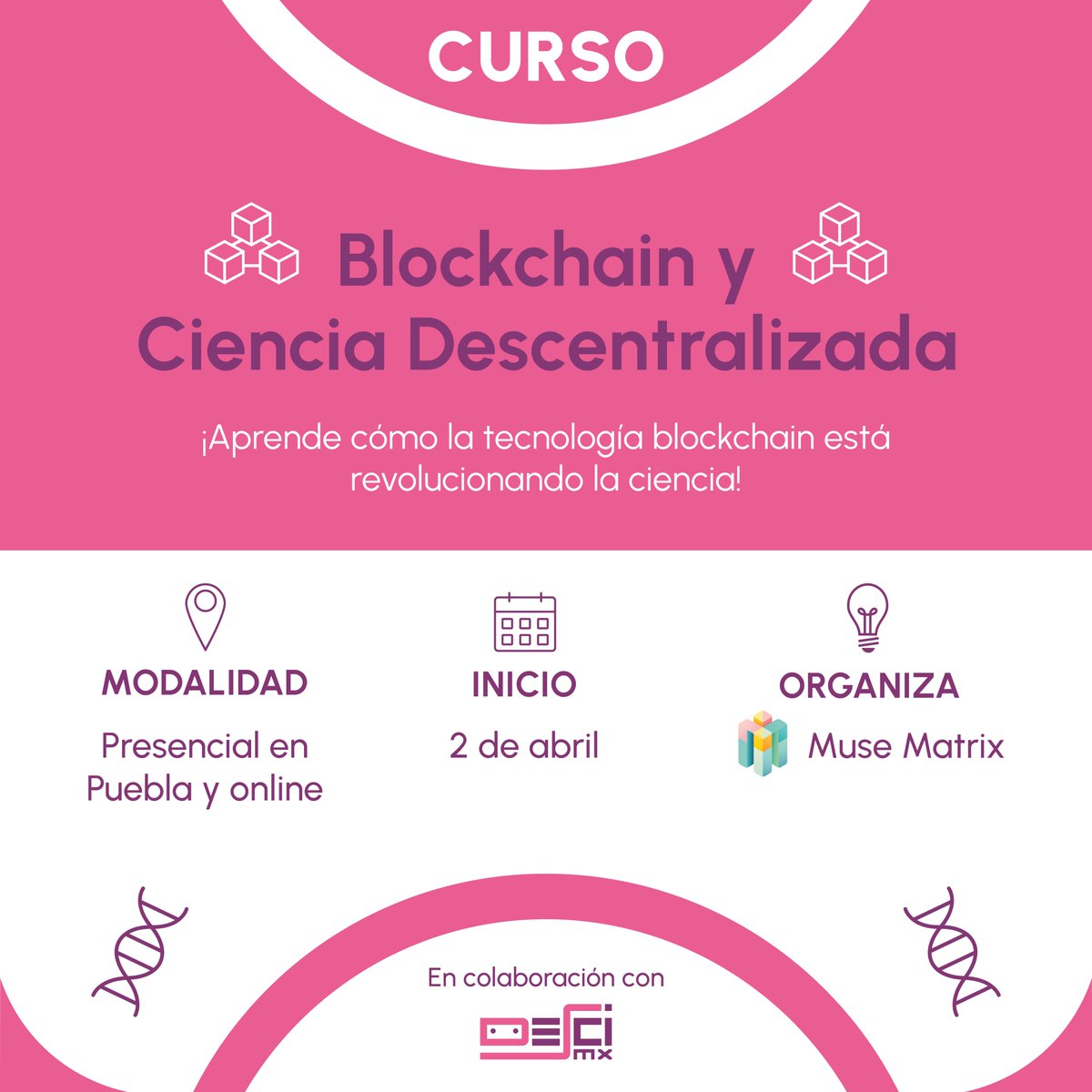 MuseMatrix_'s tweet image. 📢 ¡Mañana iniciamos clases! 🚀
¡La espera ha terminado!
Mañana damos inicio a la Cohorte de Educación en Ciencia Descentralizada de Muse Matrix en Español
📅Miércoles, 2 de Abril
⏰ Hora: 10:00 AM (GMT-6, Hora de México)
💻 Modalidad: Online
En esta primera sesión…