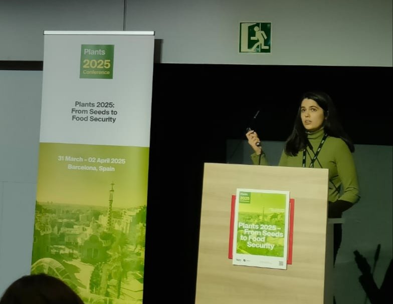 InBioVeg's tweet image. Yesterday our student Sara E. Martínez-Lorente presented her work at #Plants2025 congress 🌱