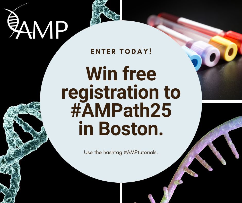 Muhammad Hussain, MD (@whosainastro) on Twitter photo Honored to join the AMP Social Media Challenge Working Group under the leadership of Dr. <a href="/AlannaChurch_MD/">Alanna Church, MD</a> !
Over the next 2 years, I’ll be part of the team judging submissions for #AMPtutorials and contributing to program improvements.
Grateful to <a href="/AMPath/">Association for Molecular Pathology</a> for this opportunity! Honored to join the AMP Social Media Challenge Working Group under the leadership of Dr. <a href="/AlannaChurch_MD/">Alanna Church, MD</a> !
Over the next 2 years, I’ll be part of the team judging submissions for #AMPtutorials and contributing to program improvements.
Grateful to <a href="/AMPath/">Association for Molecular Pathology</a> for this opportunity!