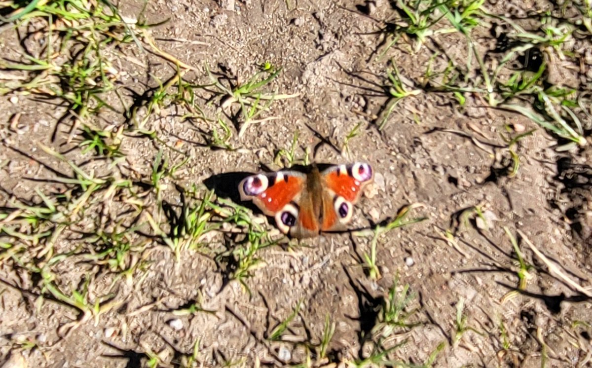 Brierly forest park Nottinghamshire this Afternoon

<a href="/StormchaserUKEU/">WEATHER/ METEO WORLD</a>  @PhotographyWx <a href="/bbcweather/">BBC Weather</a> <a href="/BBCWthrWatchers/">BBC Weather Watchers</a> <a href="/itvweather/">ITV Weather</a> <a href="/metoffice/">Met Office</a> <a href="/ChrisPage90/">Chris Page - Weatherman</a> <a href="/WeatherAisling/">Aisling Creevey</a> #loveukweather✅ <a href="/liamdutton/">Liam Dutton</a> <a href="/GavinPartridge/">GavsWeatherVids</a> <a href="/bbcemt/">BBC East Midlands</a>  <a href="/BBCNottingham/">BBC Nottingham</a> <a href="/nottslive/">NottinghamshireLive</a>  <a href="/StormHour/">#StormHour</a> <a href="/ThePhotoHour/">#ThePhotoHour</a>