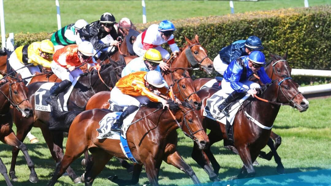 Vincent M (@mutrelv) on Twitter photo 📍 Fontainebleau 
🏁 Prix des Grandes Fontaines (Quinté +) 
Guiness Star🔵⚫️🥇 ( <a href="/veron39958955/">veron</a> ) remporte un premier Q+ ! 
Team Couetil 🟤🥇👏🏻: <a href="/EPouymayon/">elodie pouymayon</a>  <a href="/RGlemas/">Romane Glémas</a> <a href="/maxoudu53_max11/">Maxime</a> 📍 Fontainebleau 
🏁 Prix des Grandes Fontaines (Quinté +) 
Guiness Star🔵⚫️🥇 ( <a href="/veron39958955/">veron</a> ) remporte un premier Q+ ! 
Team Couetil 🟤🥇👏🏻: <a href="/EPouymayon/">elodie pouymayon</a>  <a href="/RGlemas/">Romane Glémas</a> <a href="/maxoudu53_max11/">Maxime</a>