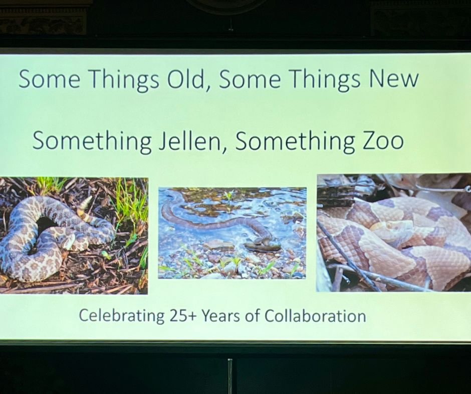 University of Health Sciences and Pharmacy in STL (@uhspedu) on Twitter photo Congrats to Dr. Ben Jellen, UHSP associate professor of biology, on 25+ years of research collaboration with <a href="/stlzoo/">Saint Louis Zoo</a>! ππ€
#WildlifeResearch #ResearchRecognition Congrats to Dr. Ben Jellen, UHSP associate professor of biology, on 25+ years of research collaboration with <a href="/stlzoo/">Saint Louis Zoo</a>! ππ€
#WildlifeResearch #ResearchRecognition