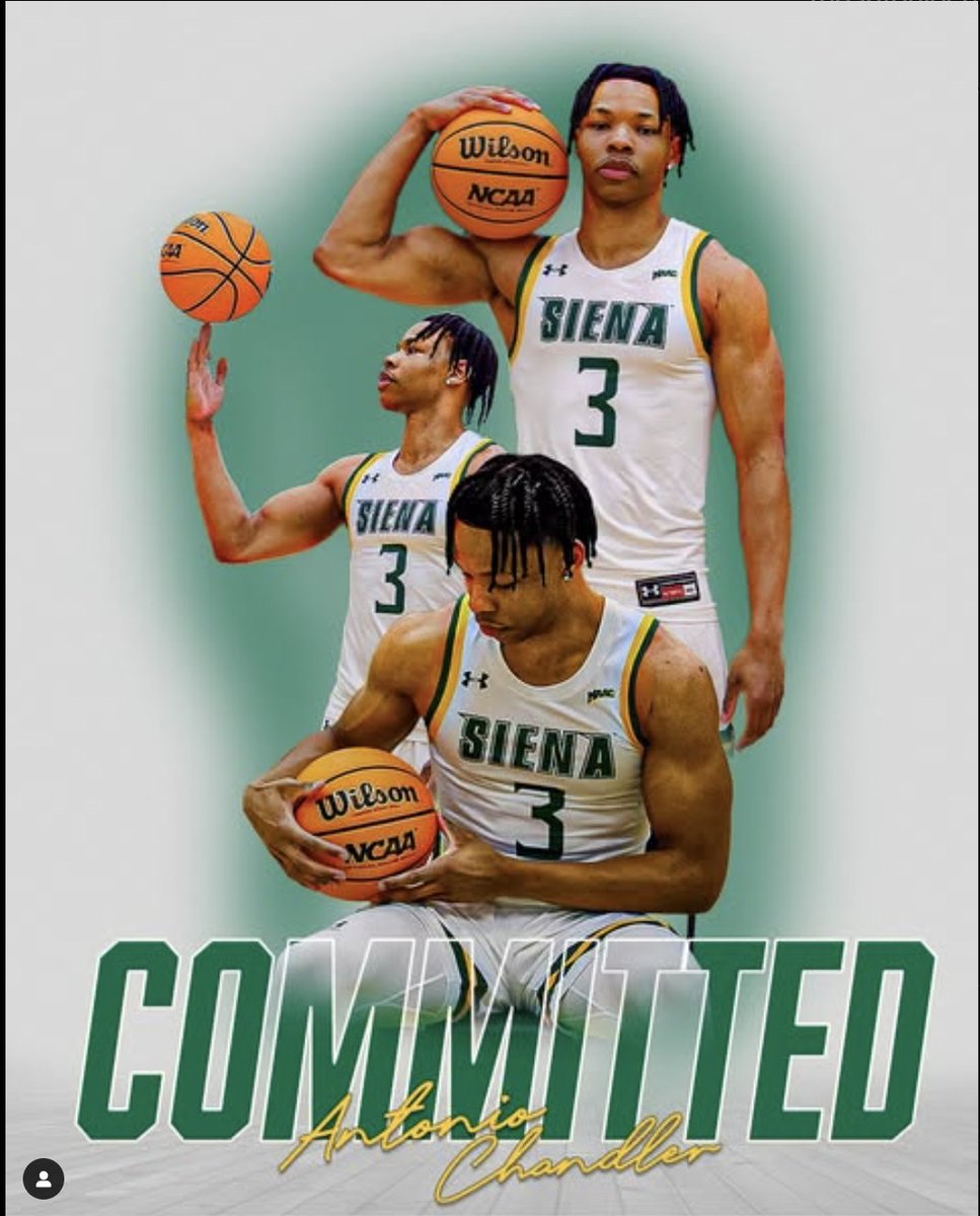 BREAKING: Southern Connecticut State (D2) transfer Antonio Chandler has committed to Siena, per his IG

6-6 forward from NJ averaged 17.2 points and 11.3 rebounds per game. Shot 64% from the field.