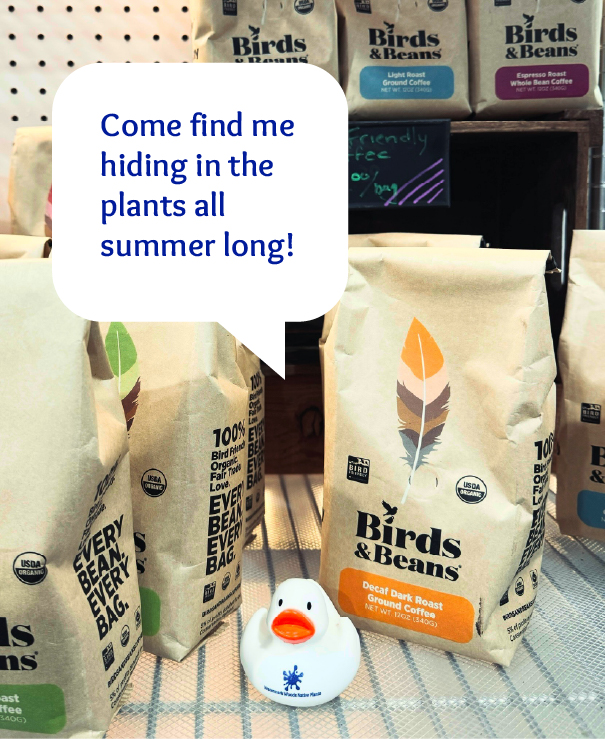 🚨 New at Watermark Woods! 🚨

We now carry Birds &amp; Beans bird-friendly coffee! ☕🐦 Delicious, sustainable, and good for the birds!

🐥 Duck Hunt Alert! There’s a hidden duck 🦆 somewhere in the nursery! Find it &amp; keep it or trade it in for $1 off your purchase.