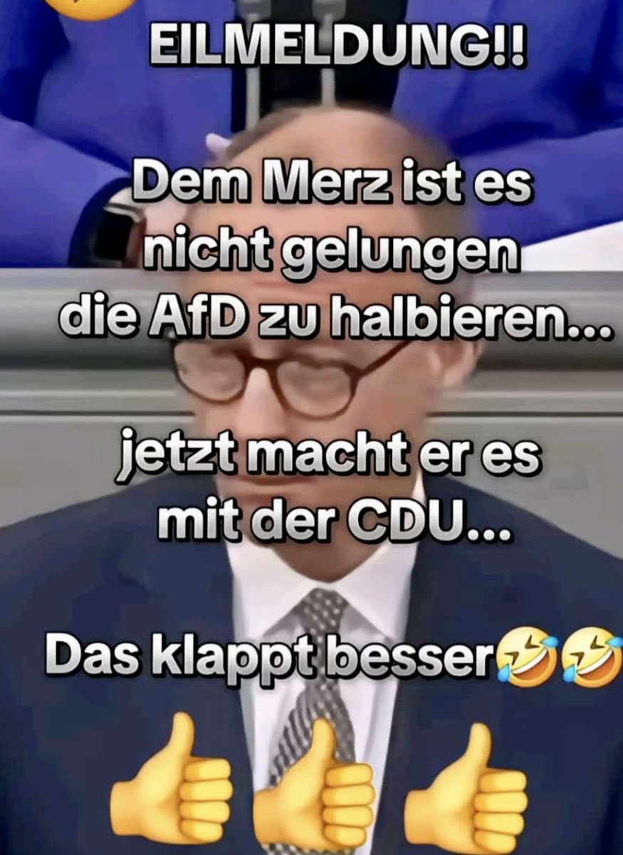 #AfD #AliceWeidel #AliceFürDeutschland #Merz #CDU #Union