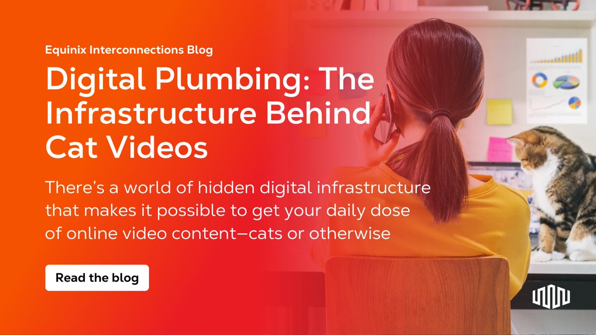 Cat content rules the internet! Read the blog to learn about the #DigitalPlumbing that makes cat videos possible &amp; the pivotal role of data centers: eqix.it/41SKHzq