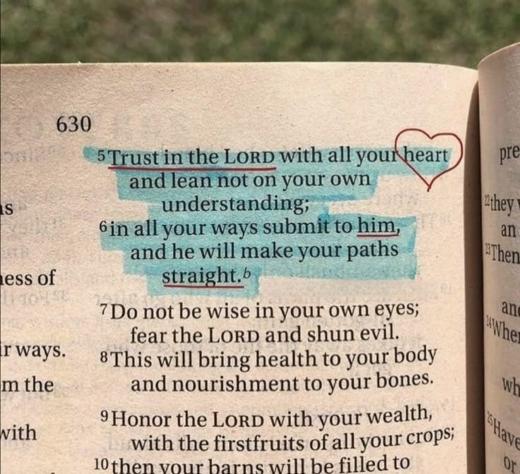 The Bible tweet media