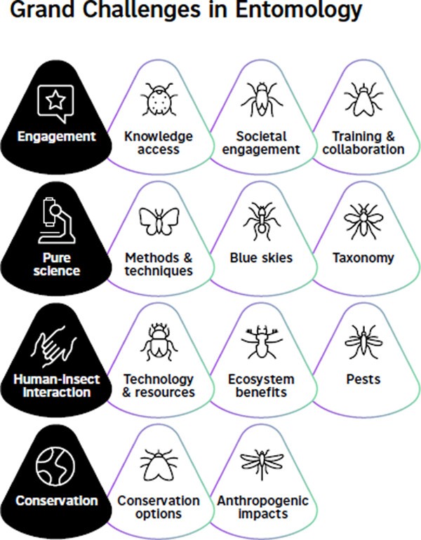 Insect Conservation and Diversity (@insectdiversity) on Twitter photo We are delighted to announce that the collaborative Grand Challenges in #Entomology paper published in <a href="/InsectDiversity/">Insect Conservation and Diversity</a> is one of the top cited papers for <a href="/RoyEntSoc/">Royal Entomological Society</a> journals in the last two years
Read the #OpenAccess #TopCitedArticle here 🔽
doi.org/10.1111/icad.1… We are delighted to announce that the collaborative Grand Challenges in #Entomology paper published in <a href="/InsectDiversity/">Insect Conservation and Diversity</a> is one of the top cited papers for <a href="/RoyEntSoc/">Royal Entomological Society</a> journals in the last two years
Read the #OpenAccess #TopCitedArticle here 🔽
doi.org/10.1111/icad.1…