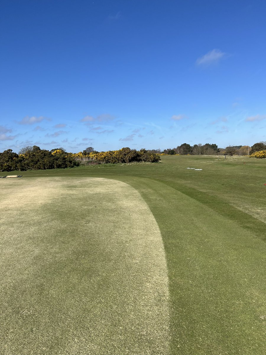 George Butters tweet media