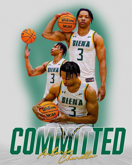 Travis Graf (@travisgrafhoops) on Twitter photo Southern Connecticut State (D2) transfer Antonio Chandler (<a href="/AChandler_3/">Antonio Chandler</a>) has committed to Siena over a slew of other D1 programs.
Averaged 17.2 points and 11.3 rebounds per game and shot 63% from the field. Southern Connecticut State (D2) transfer Antonio Chandler (<a href="/AChandler_3/">Antonio Chandler</a>) has committed to Siena over a slew of other D1 programs.
Averaged 17.2 points and 11.3 rebounds per game and shot 63% from the field.