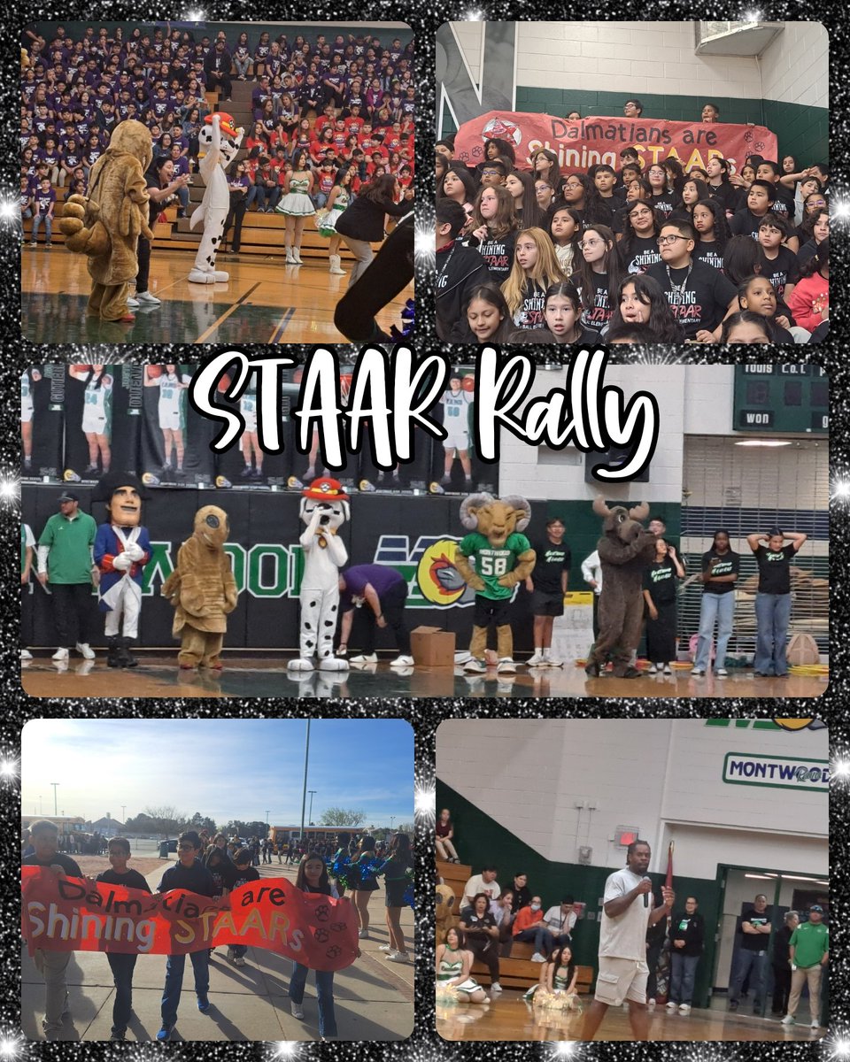 CHerrera_HBES (@herreracristie) on Twitter photo Dalmatians did great at our first annual Montwood feeder pattern STAAR Pep rally! #TimeToShine <a href="/HBall_ES/">Ana Soto</a> <a href="/asper_HBES/">asper robles</a> <a href="/VBMolinar_HBES/">VBraxtonMolinar_HBES</a> <a href="/SusanaZ_HBES/">Susana Zamora</a> <a href="/lgonz_HBallES/">L. Susana Gonzalez</a> Dalmatians did great at our first annual Montwood feeder pattern STAAR Pep rally! #TimeToShine <a href="/HBall_ES/">Ana Soto</a> <a href="/asper_HBES/">asper robles</a> <a href="/VBMolinar_HBES/">VBraxtonMolinar_HBES</a> <a href="/SusanaZ_HBES/">Susana Zamora</a> <a href="/lgonz_HBallES/">L. Susana Gonzalez</a>