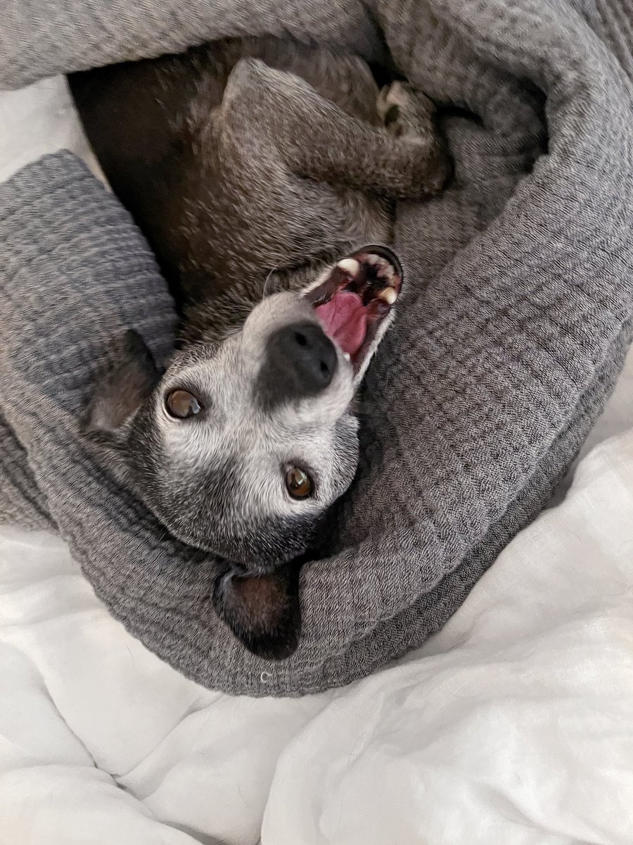 have decided to watch my weight and give up sandwiches. 

April fools!