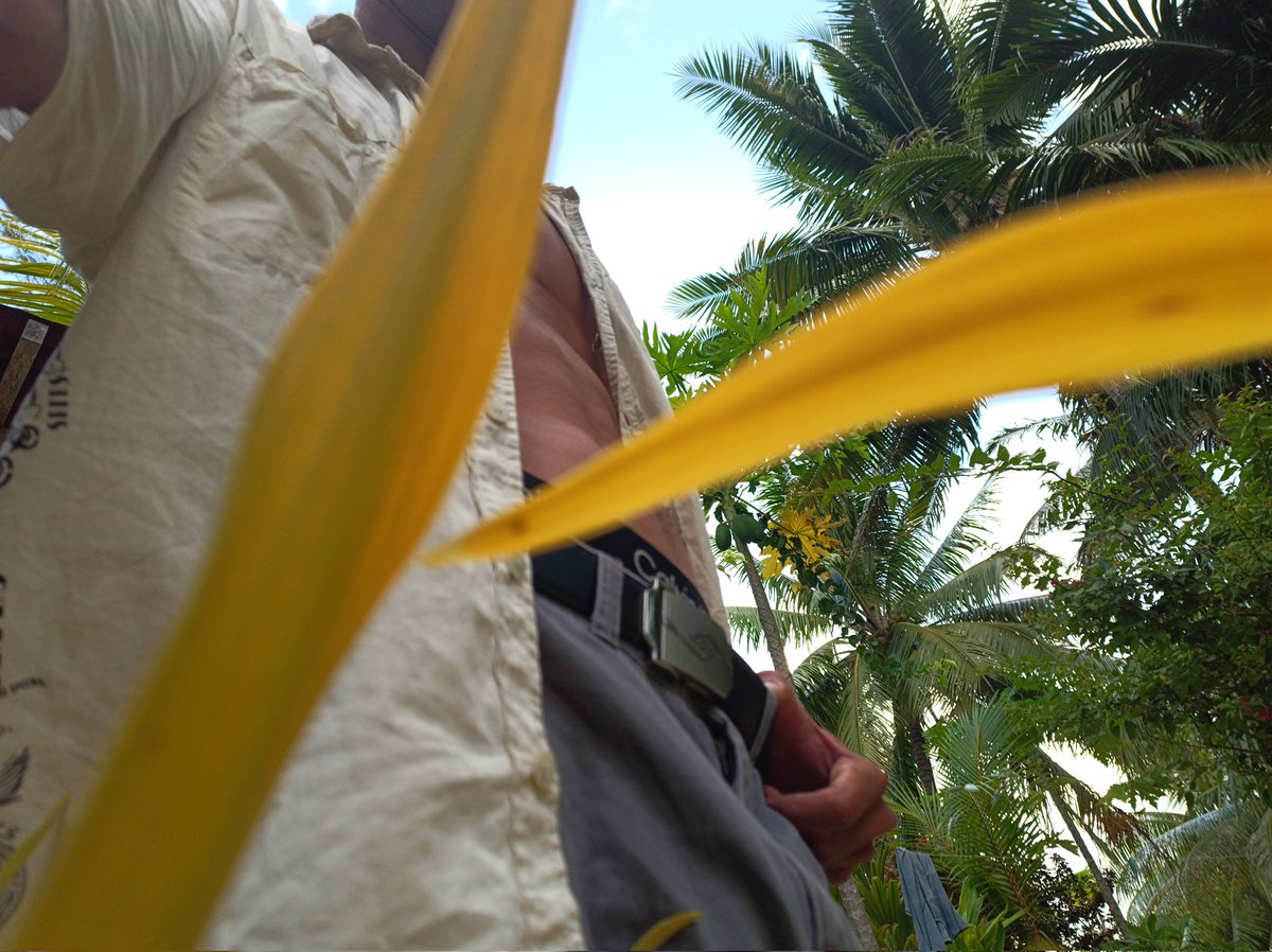 t_michael091994's tweet photo. 🏝️ https://t.co/FNFj6LVQEp
