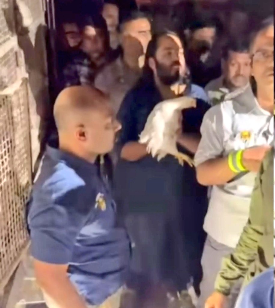 BIG NEWS 🚨 Anant Ambani rescues 250 chickens on his 140 km padyatra to Dwarka.

He personally stopped the poultry van.

Anant then bought all the chickens at double the price and set them free.

Anant also shouted the slogan "Jai Dwarkadhish" while moving forward with a chicken