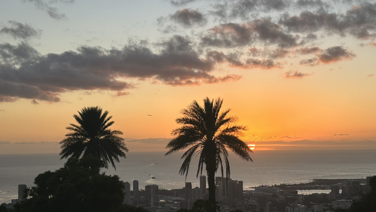 JalpakHawaii's tweet photo. #スタッフおすすめツアー💁‍♀️
「タンタラスの丘」は昼夜を問わずオアフ島南側を一望できる絶景ポイント🌞
食事つきのツアー、その他の観光名所とセットのツアーなど様々なオプショナルツアーがあるので、
ぜひチェックしてみてください！！

タンタラスの丘関連ツアーはこちら👇
https://t.co/kai5OR7aY2 https://t.co/gcMGazfDjB