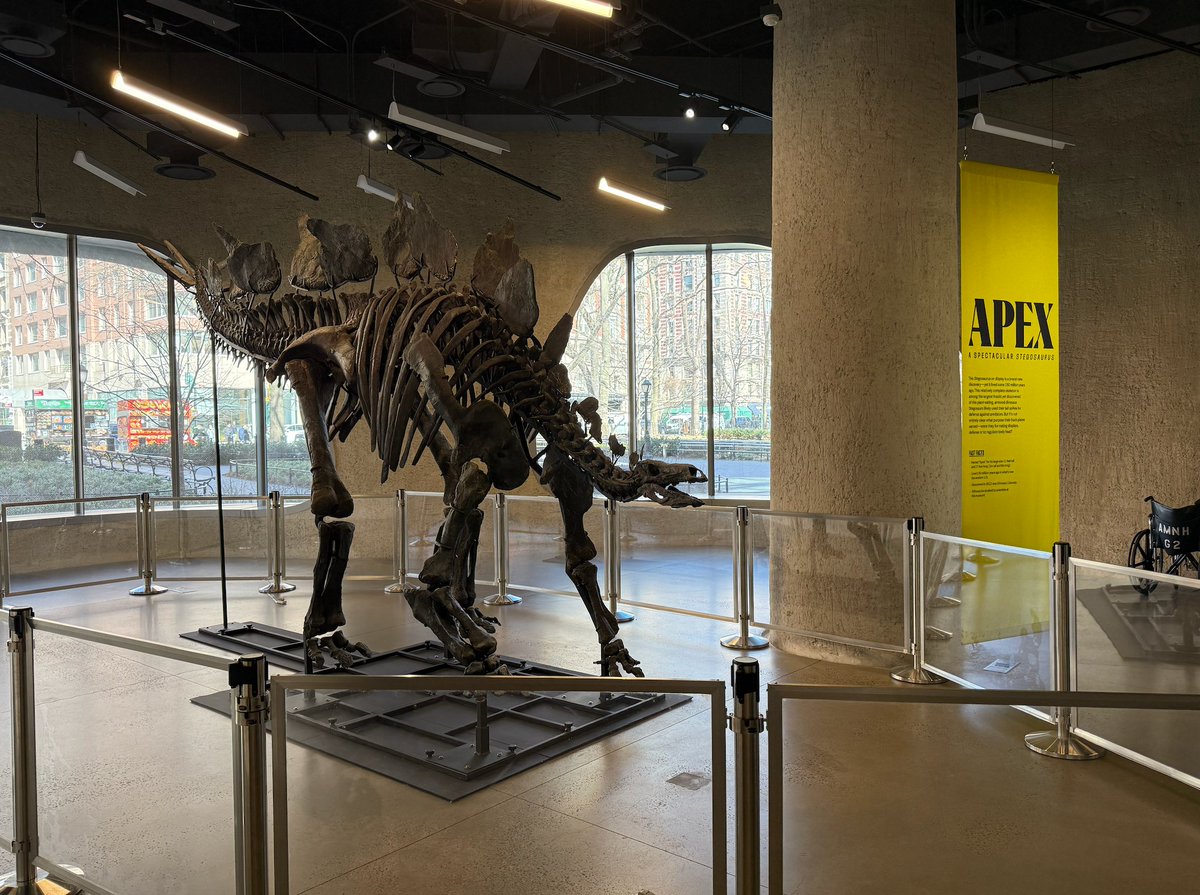 1 Year of being on X as &amp; April fools day!
#MyXAnniversary #AprilFoolDay