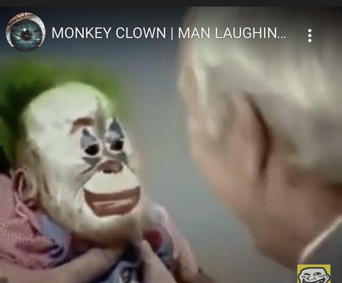TheWiddlepenis's tweet photo. @R3dJ0k3r MTGorilla on Carson show as a baby. https://t.co/V386Z8xs4y